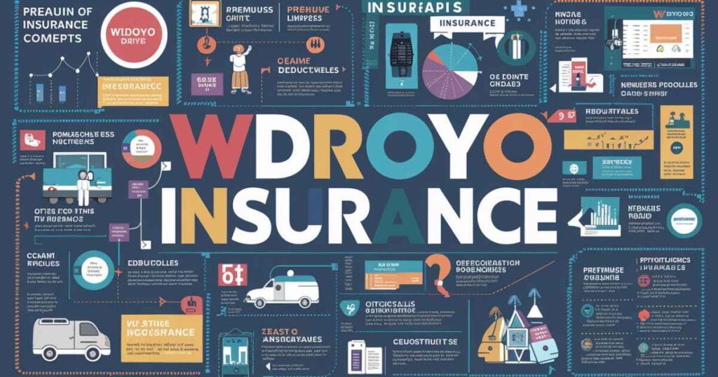 UNDERSTANDING WDROYO INSURANCE